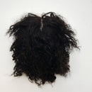 Sailk Short Bob Wigs Lace Front Human Hair Wigs for Black Women Curly Wigs With Baby Hair Pre Plucked Natural Hairline Wigs (12 Inch)