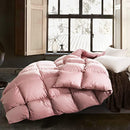 hotkoko All Season Pink Goose Duck Down King Size Duvet, Medium Warmth Luxury Year-Round Down Comforter 8 Corner Tabs, Filled with Feather & Down, Duvet Insert or Stand Alone, King 106x90'' Pink