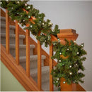 20' Lighted Pine Garland Clear