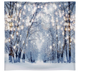 Funnytree 8x8ft Durable Fabric Winter Scene Backdrop Wonderland Snowflake Photography Background Bokeh Glitter Snow Forest Christmas Party Decoration Tree Landscape Portrait Photobooth Photo Studio. 1085