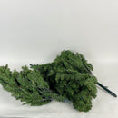6.5' Kingswood Fir Tree with Lights Multi/Green