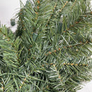4' Kincaid Spruce with Clear Lights Green