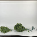 4' Dunhill Fir Tree with Clear Lights Green